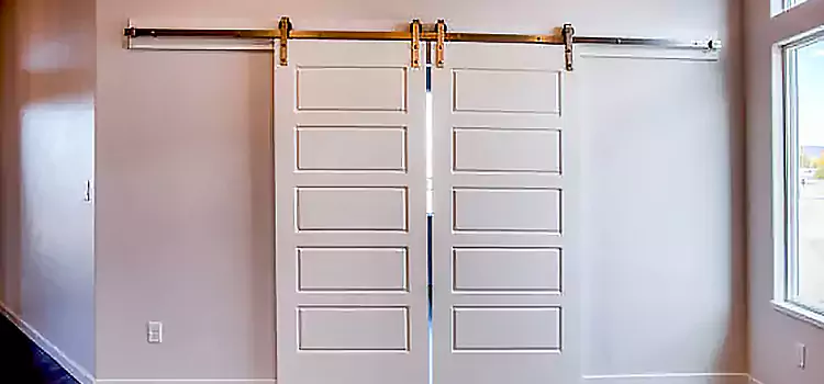 Glass Barn Door with Installation Hardware Kit Brownsburg