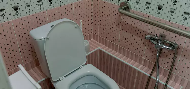 Meeting Diverse Needs With Accessible Restroom Solutions in Brownsburg, IN