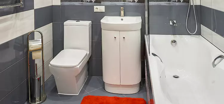 Hansgrohe Shaving Mirror Brownsburg